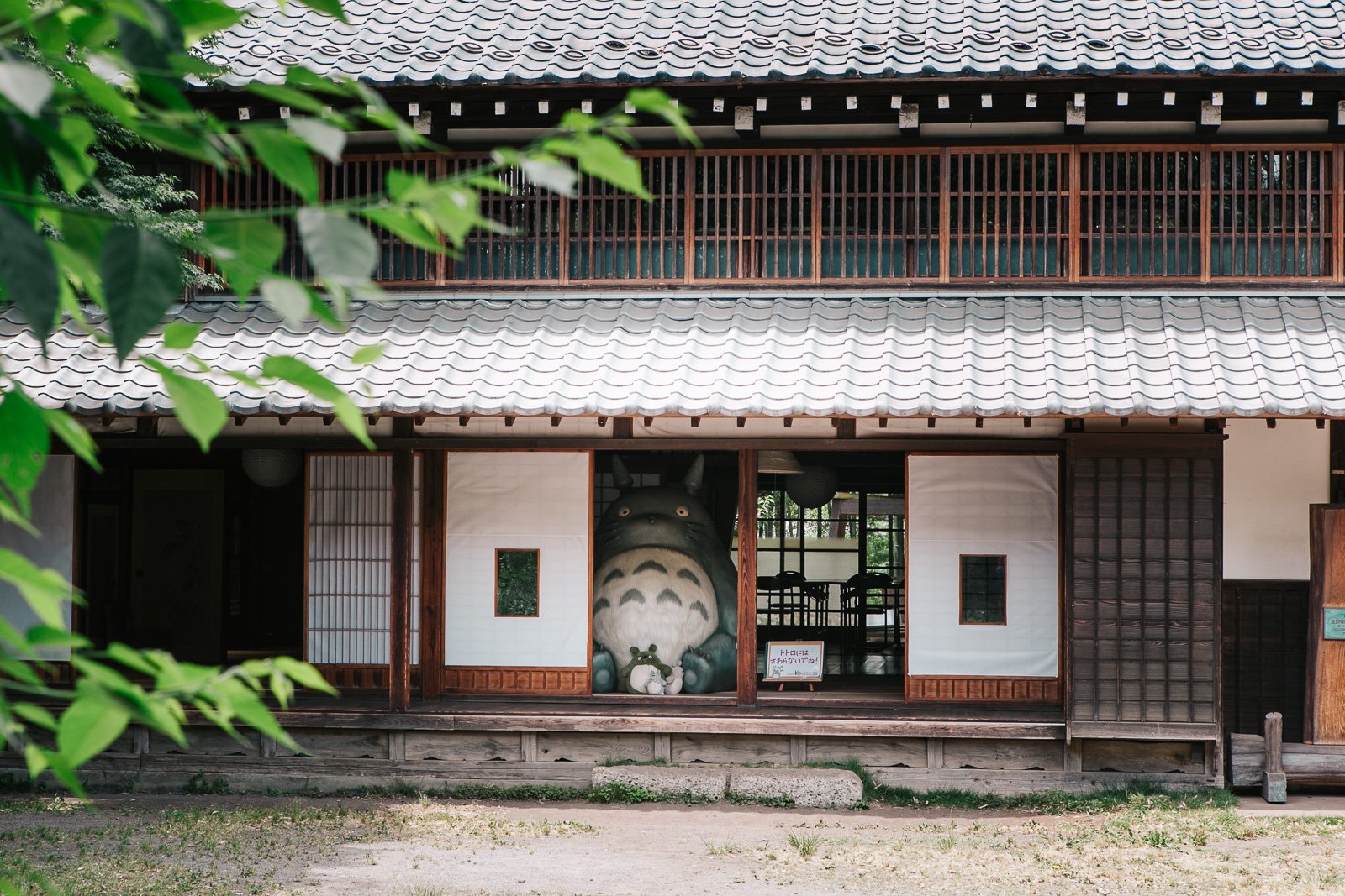 🏛️ 사야마 시립 박물관(사야마 시리츠 하쿠부츠칸) 이미지 8